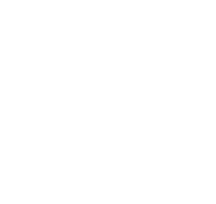 Gemex Handels GmbH